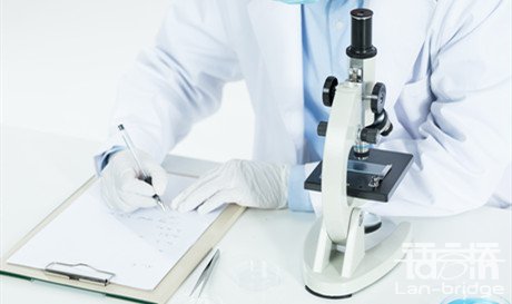 翻译化学报告